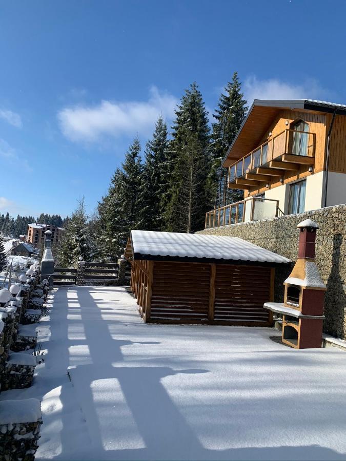 Gogodz Chalet Resort ヤブルニツァ エクステリア 写真