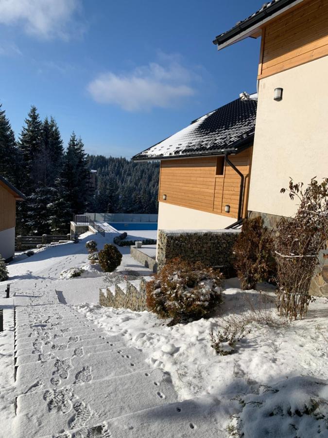 Gogodz Chalet Resort ヤブルニツァ エクステリア 写真